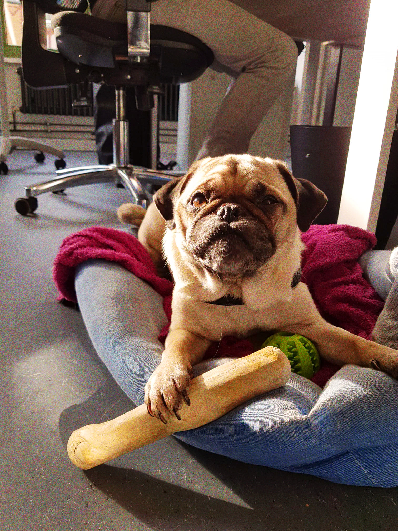 A render of three white cylindrical columns, against a warm creme background
